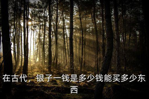 在古代，銀子一錢是多少錢能買多少東西