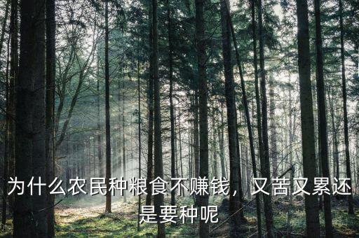 為什么農(nóng)民種糧食不賺錢，又苦又累還是要種呢