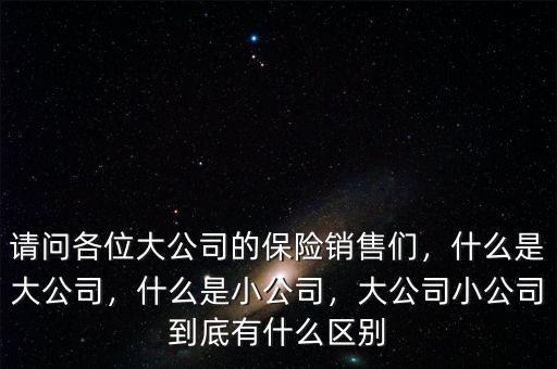 請問各位大公司的保險銷售們，什么是大公司，什么是小公司，大公司小公司到底有什么區(qū)別