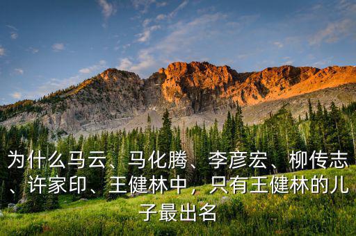 為什么馬云、馬化騰、李彥宏、柳傳志、許家印、王健林中，只有王健林的兒子最出名