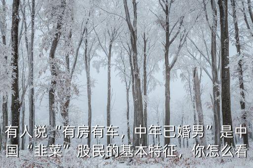 有人說“有房有車，中年已婚男”是中國“韭菜”股民的基本特征，你怎么看