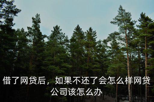 借了網(wǎng)貸后，如果不還了會怎么樣網(wǎng)貸公司該怎么辦