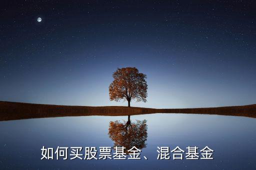 如何買股票基金、混合基金