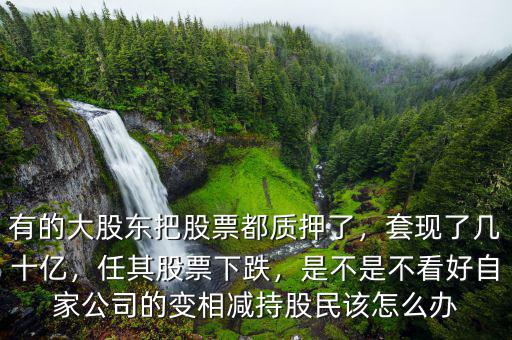 有的大股東把股票都質(zhì)押了，套現(xiàn)了幾十億，任其股票下跌，是不是不看好自家公司的變相減持股民該怎么辦