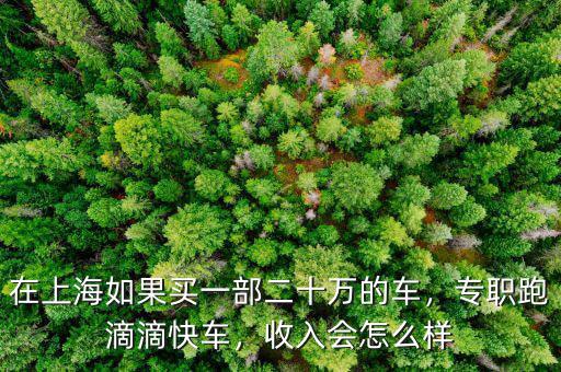 在上海如果買一部二十萬(wàn)的車，專職跑滴滴快車，收入會(huì)怎么樣