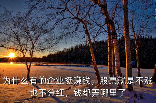 為什么有的企業(yè)挺賺錢，股票就是不漲也不分紅，錢都弄哪里了