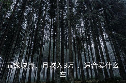 五線城市，月收入3萬(wàn) ，適合買什么車
