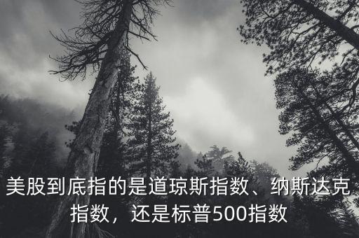 道瓊斯指數有多少只股票,美股到底指的是道瓊斯指數