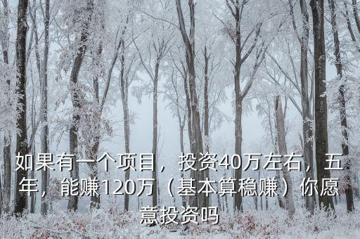 如果有一個項目，投資40萬左右，五年，能賺120萬（基本算穩(wěn)賺）你愿意投資嗎