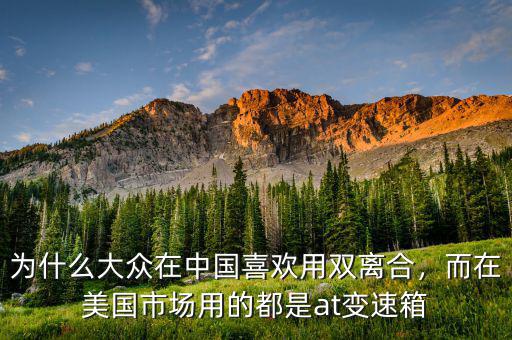 為什么大眾在美國(guó),大眾車(chē)在美國(guó)為什么不好買(mǎi)