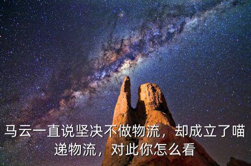 馬云一直說堅決不做物流，卻成立了喵遞物流，對此你怎么看