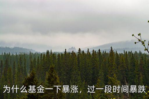 為什么基金一下暴漲，過一段時(shí)間暴跌