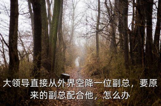 大領(lǐng)導(dǎo)直接從外界空降一位副總，要原來(lái)的副總配合他，怎么辦