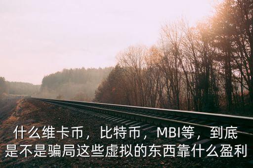 什么維卡幣，比特幣，MBI等，到底是不是騙局這些虛擬的東西靠什么盈利