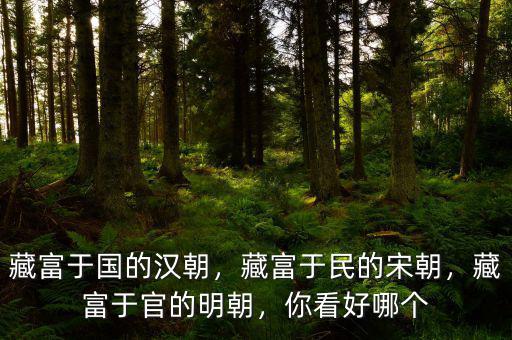 藏富于國(guó)的漢朝，藏富于民的宋朝，藏富于官的明朝，你看好哪個(gè)