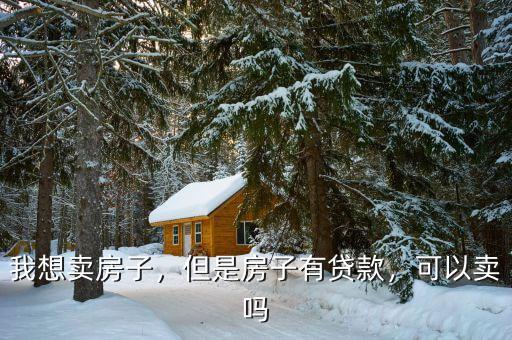 我想賣(mài)房子，但是房子有貸款，可以賣(mài)嗎