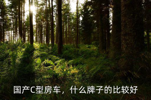 國產C型房車，什么牌子的比較好
