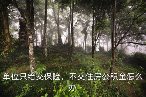 單位只給交保險(xiǎn)，不交住房公積金怎么辦