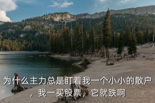 為什么主力總是盯著我一個(gè)小小的散戶，我一買股票，它就跌啊