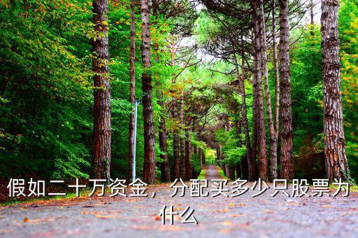 假如二十萬資金，分配買多少只股票為什么