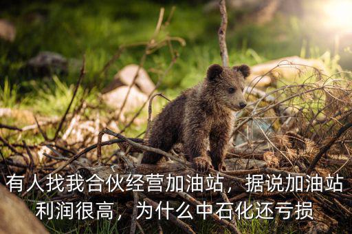 黑加油站利潤是多少,據說加油站利潤很高