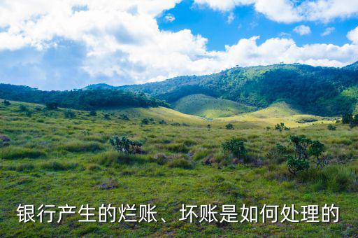 銀行產(chǎn)生的爛賬、壞賬是如何處理的