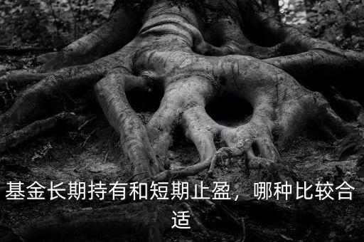 基金長期持有和短期止盈，哪種比較合適