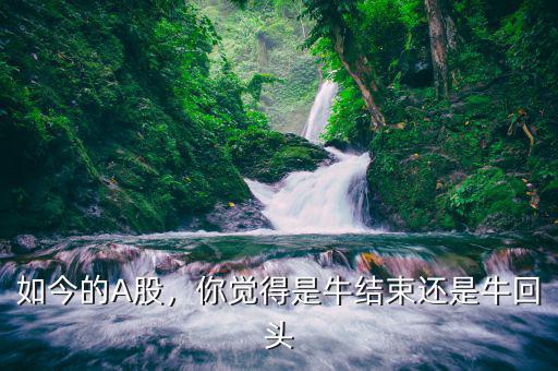 如今的A股，你覺得是牛結(jié)束還是?；仡^