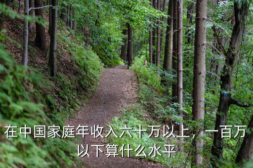 在中國家庭年收入六十萬以上，一百萬以下算什么水平