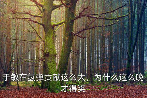 于敏在氫彈貢獻(xiàn)這么大，為什么這么晚才得獎(jiǎng)