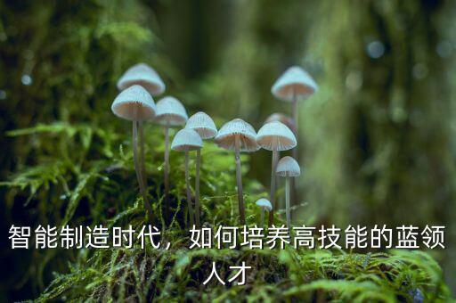 智能制造時代，如何培養(yǎng)高技能的藍領人才