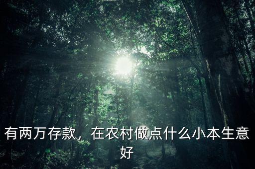 有兩萬存款，在農(nóng)村做點什么小本生意好