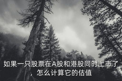 如果一只股票在A股和港股同時上市了，怎么計(jì)算它的估值