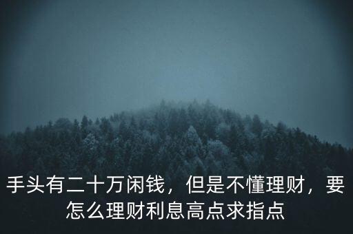 手頭有二十萬閑錢，但是不懂理財，要怎么理財利息高點(diǎn)求指點(diǎn)
