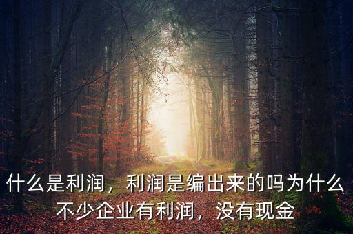 什么是利潤，利潤是編出來的嗎為什么不少企業(yè)有利潤，沒有現金