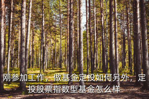 剛參加工作，做基金定投如何另外，定投股票指數(shù)型基金怎么樣