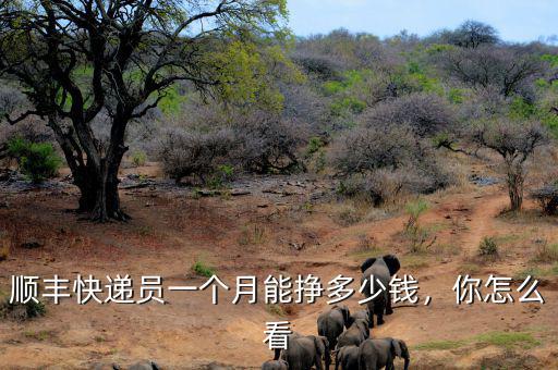 順豐快遞員一個(gè)月能掙多少錢，你怎么看