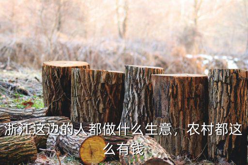 浙江這邊的人都做什么生意，農(nóng)村都這么有錢