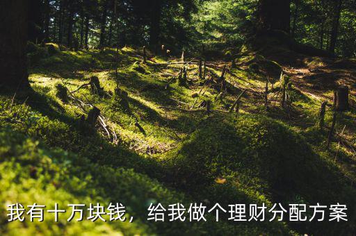 我有十萬塊錢，給我做個(gè)理財(cái)分配方案