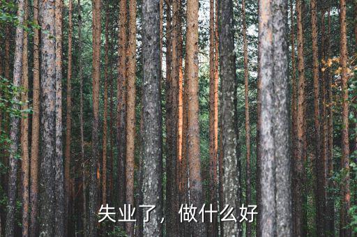 失業(yè)了，做什么好