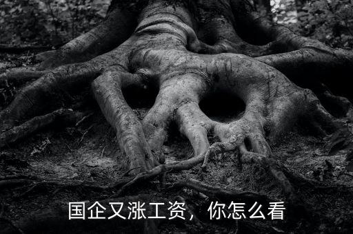 國(guó)企又漲工資，你怎么看