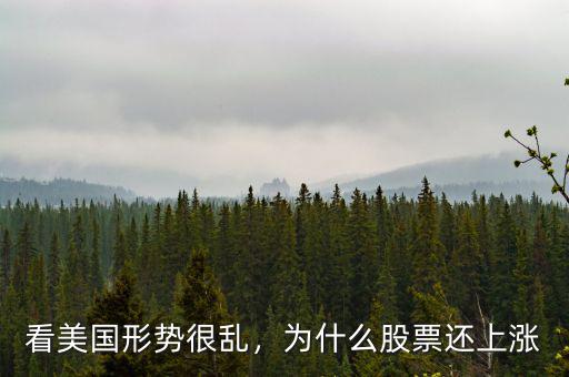 看美國形勢很亂，為什么股票還上漲