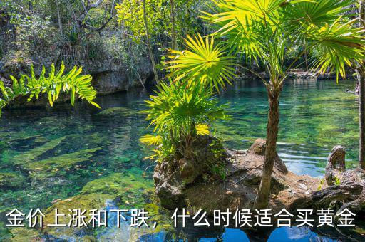 金價上漲和下跌，什么時候適合買黃金