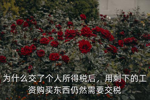 為什么交了個(gè)人所得稅后，用剩下的工資購(gòu)買東西仍然需要交稅