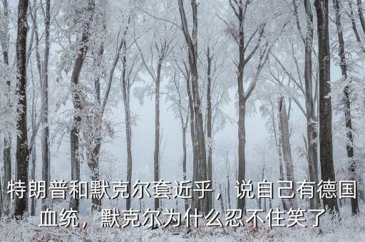 特朗普和默克爾套近乎，說自己有德國血統(tǒng)，默克爾為什么忍不住笑了