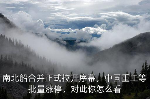 南北船合并正式拉開(kāi)序幕，中國(guó)重工等批量漲停，對(duì)此你怎么看