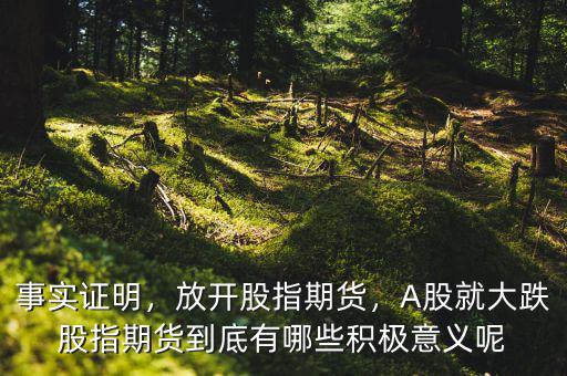 事實證明，放開股指期貨，A股就大跌股指期貨到底有哪些積極意義呢