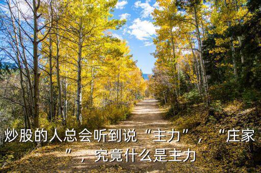 炒股的人總會聽到說“主力”，“莊家”，究竟什么是主力