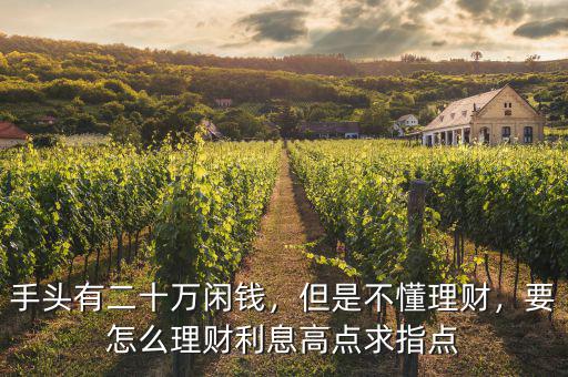 手頭有二十萬閑錢，但是不懂理財(cái)，要怎么理財(cái)利息高點(diǎn)求指點(diǎn)