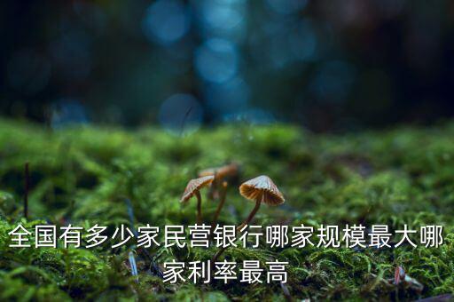 銀行多少家,全國有多少家民營(yíng)銀行